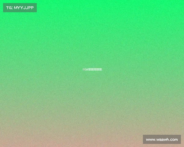 nba赛事直播数据在哪看