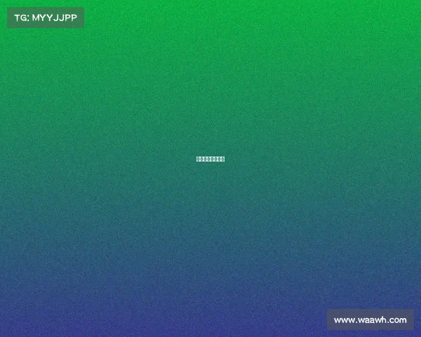 拳击比赛赛程安排