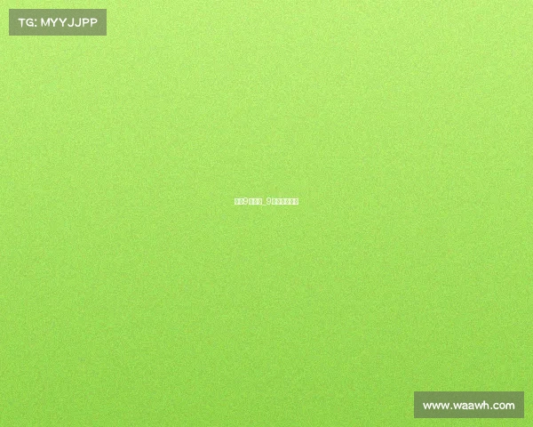 美国9月赛事_9球美国公开赛